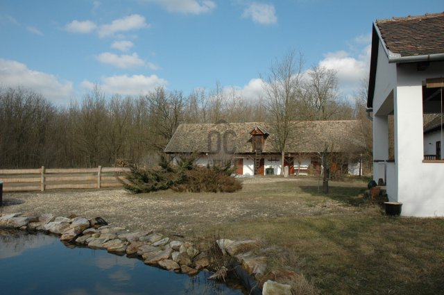 Eladó családi ház, Mikebudán 129 M Ft, 8 szobás