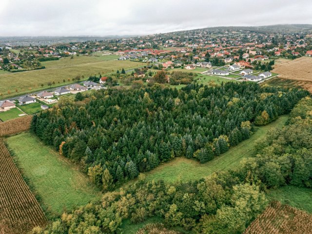 Eladó telek, Cserszegtomajon 217 M Ft / költözzbe.hu