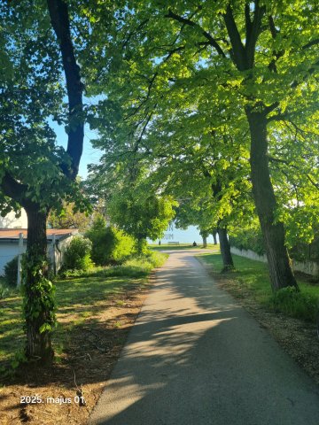 Eladó családi ház, Balatonakarattyán 160 M Ft, 3 szobás