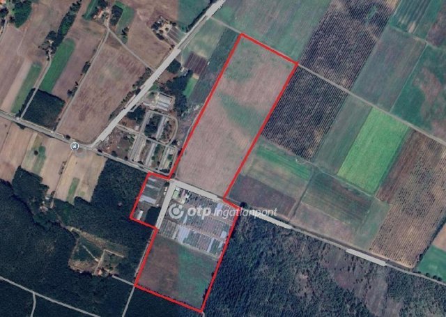 Eladó mezogazdasagi ingatlan, Nyársapáton 330 M Ft
