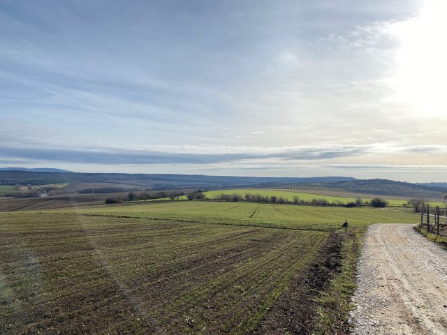 Eladó telek, Szomoron 7 M Ft / költözzbe.hu