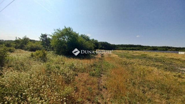 Eladó mezogazdasagi ingatlan, Balatonudvariban 4.9 M Ft