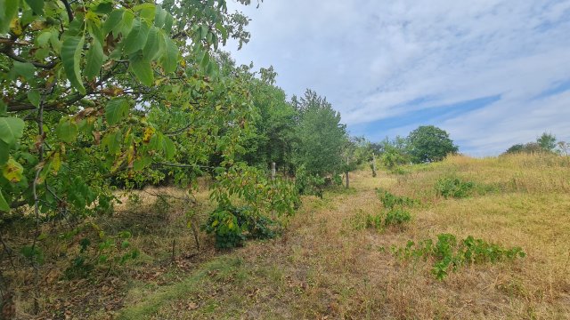Eladó mezogazdasagi ingatlan, Pakson 4.9 M Ft