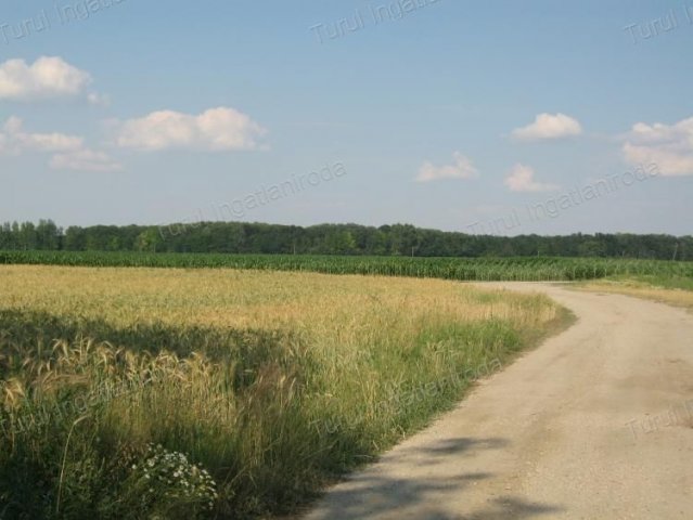 Eladó telek, Kimlén 1550 M Ft / költözzbe.hu