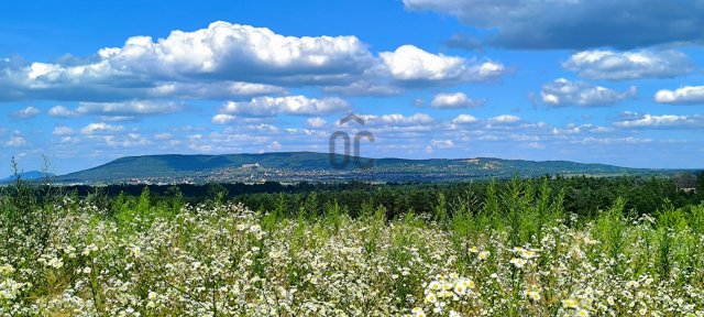 Eladó nyaraló, Bazsiban 29 M Ft, 3 szobás / költözzbe.hu