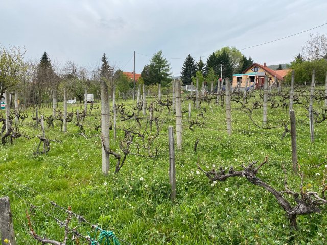 Eladó nyaraló, Pécsett 20 M Ft, 1 szobás / költözzbe.hu