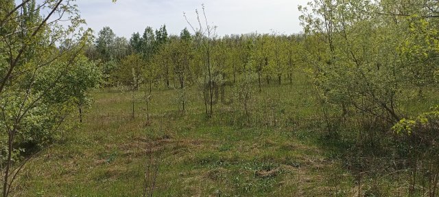 Eladó mezogazdasagi ingatlan, Kerepesen 39 M Ft