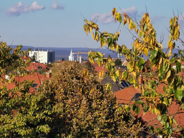 Eladó téglalakás, Veszprémben 170 M Ft, 4 szobás