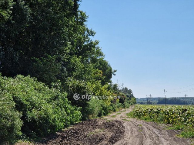 Eladó telek, Hódmezővásárhelyen 6 M Ft / költözzbe.hu