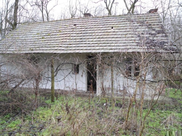Eladó mezogazdasagi ingatlan, Ráckevén 8.5 M Ft