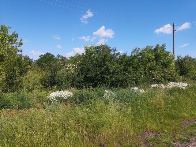 Eladó mezogazdasagi ingatlan, Gyomaendrődön 7.9 M Ft