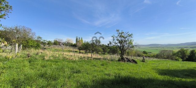 Eladó mezogazdasagi ingatlan, Szentbékkállán 24.9 M Ft