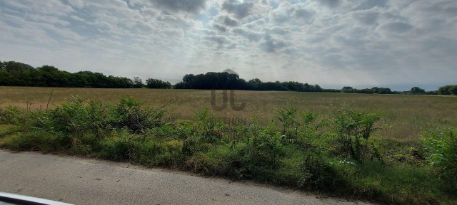 Eladó mezogazdasagi ingatlan, Abában 66 M Ft