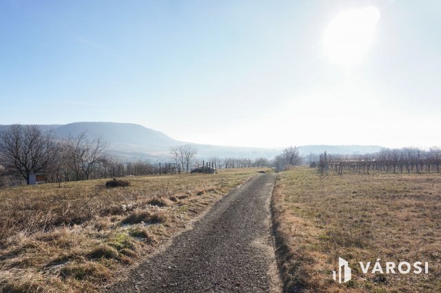 Eladó telek, Móron 7.5 M Ft / költözzbe.hu