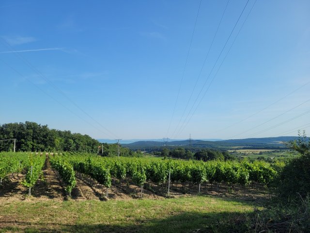 Eladó nyaraló, Balatonszőlősön 49.9 M Ft, 4 szobás