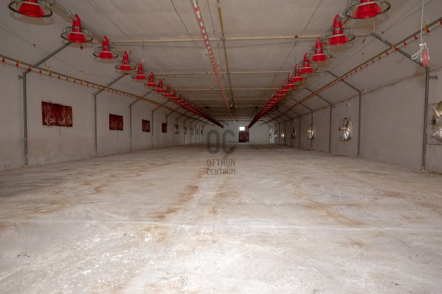 Eladó mezogazdasagi ingatlan, Nyíregyházán 149 M Ft