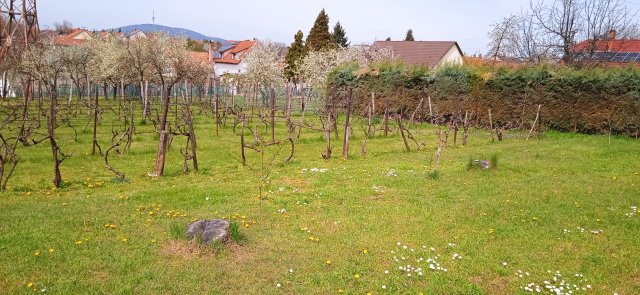 Eladó telek, Pécsett, Rezgő utcában 5.8 M Ft