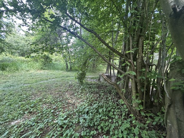 Eladó családi ház, Bakházán 6.5 M Ft, 1 szobás