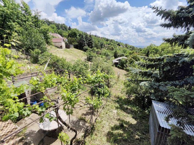 Eladó családi ház, Pécsett 39.9 M Ft, 1 szobás