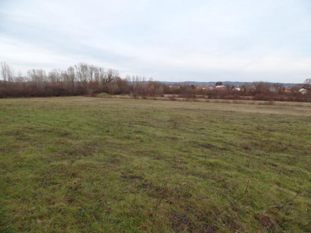 Eladó telek, Keszthelyen 62 M Ft / költözzbe.hu