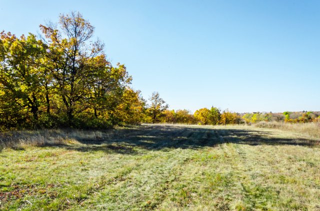 Eladó ipari ingatlan, Szentkirályszabadján 210 M Ft