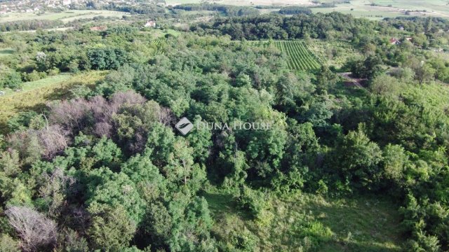 Eladó telek, Köveskálon 16 M Ft / költözzbe.hu