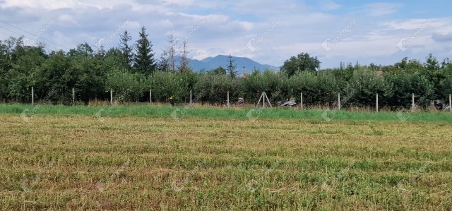 Eladó telek, Sárospatakon, Kölcsey Ferenc utcában 9.9 M Ft