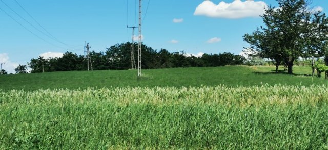 Eladó telek, Kőröshegyen 22 M Ft / költözzbe.hu