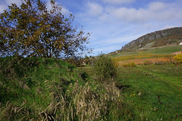 Eladó telek, Badacsonytomajon 69 M Ft / költözzbe.hu