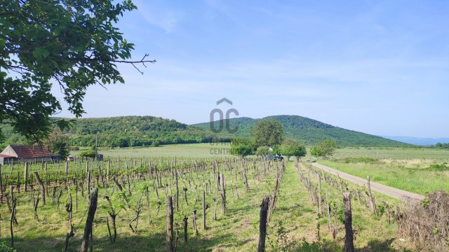 Eladó telek, Monostorapátin 2.49 M Ft / költözzbe.hu