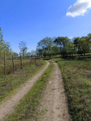 Eladó mezogazdasagi ingatlan, Mikebudán 6.2 M Ft