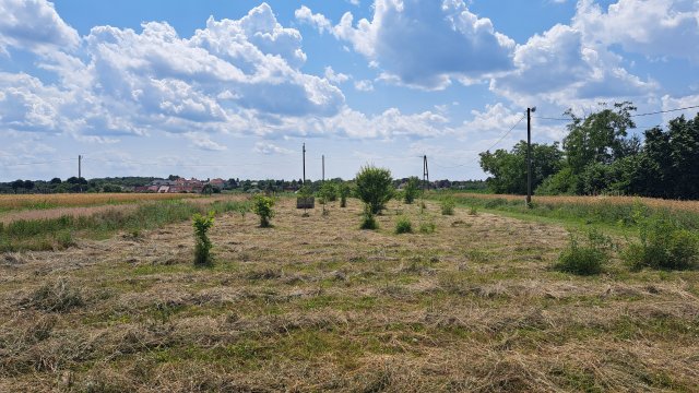 Eladó telek, Gárdonyban 9.8 M Ft / költözzbe.hu