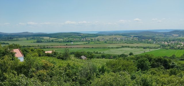 Eladó családi ház, Pécselyen 175 M Ft, 2+1 szobás