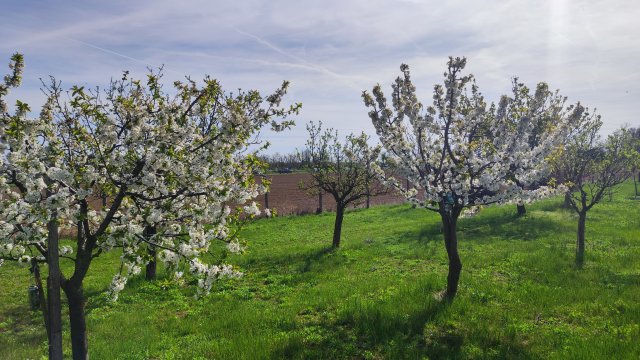 Eladó telek, Veszprémben 5.5 M Ft / költözzbe.hu