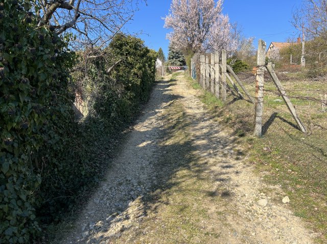 Eladó telek, Pécsett, Dongó dűlőn 9.9 M Ft