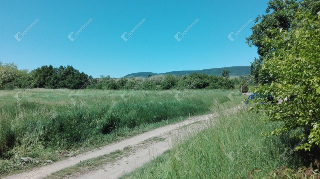 Eladó családi ház, Vámosújfalun 8 M Ft, 1 szobás