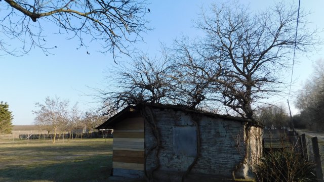 Eladó családi ház, Ásotthalmán 15.9 M Ft, 2 szobás