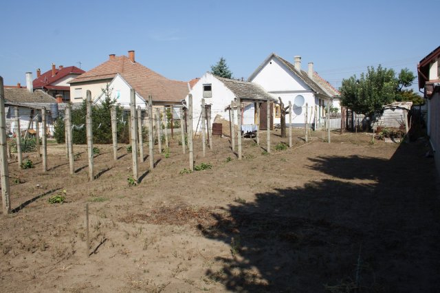 Eladó családi ház, Baján, Pásztor utcában 32.8 M Ft
