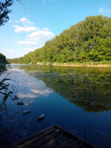 Eladó nyaraló, Mezőtúron 56 M Ft, 2+2 szobás