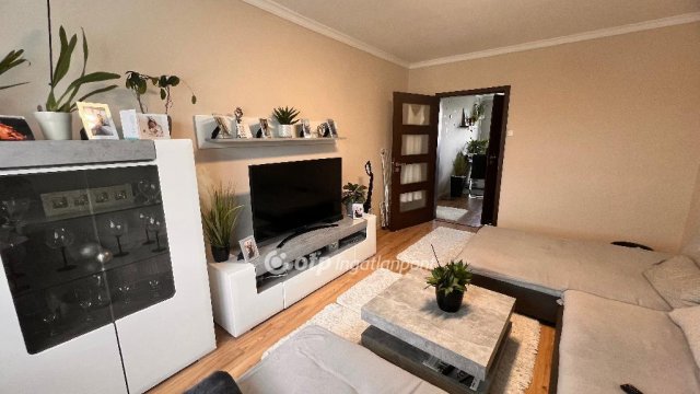 Eladó panellakás, Tiszaújvárosban 28.9 M Ft, 2 szobás