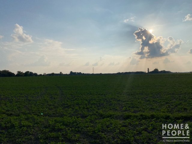 Eladó mezogazdasagi ingatlan, Hódmezővásárhelyen 32.999 M Ft