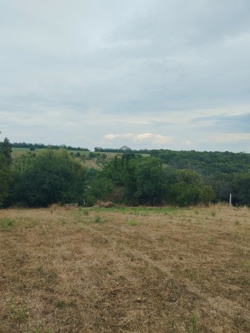 Eladó telek, Bálványoson 12.4 M Ft / költözzbe.hu