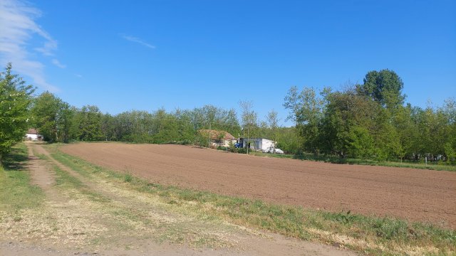 Eladó telek, Nyíregyházán 7 M Ft / költözzbe.hu