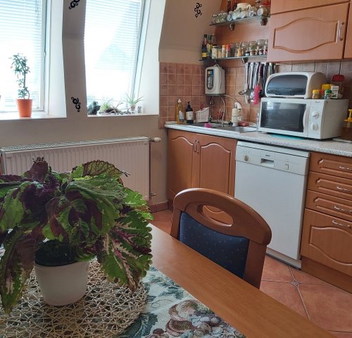 Kiadó téglalakás, albérlet, Tiszaújvárosban 350 E Ft / hó