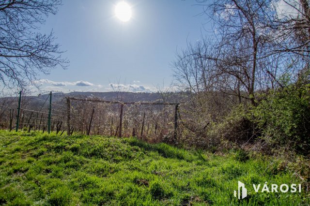 Eladó mezogazdasagi ingatlan, Lentiben 1.9 M Ft, 1 szobás