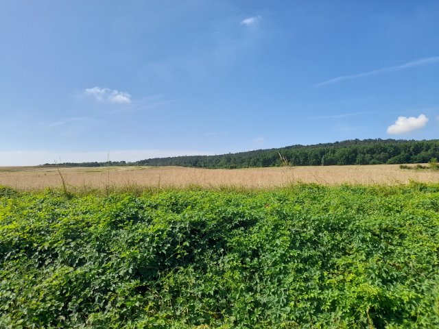 Eladó telek, Isaszegen, Ady Endre utcában 105 M Ft