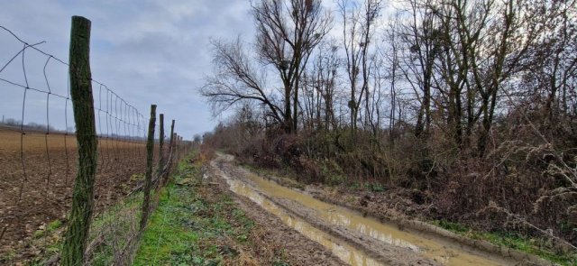 Eladó mezogazdasagi ingatlan, Gamáson 2.2 M Ft