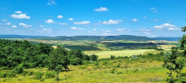 Eladó mezogazdasagi ingatlan, Csabdiban 59.9 M Ft