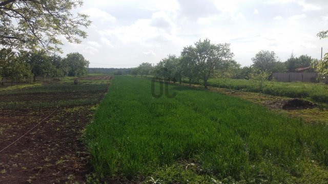 Eladó mezogazdasagi ingatlan, Hajdúszoboszlón 2.5 M Ft