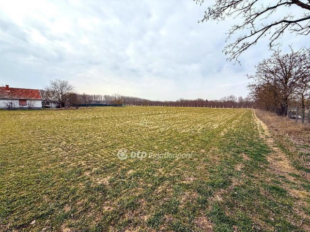 Eladó telek, Csemőn 3.5 M Ft / költözzbe.hu